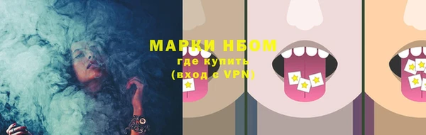 ГАЛЛЮЦИНОГЕННЫЕ ГРИБЫ Вяземский