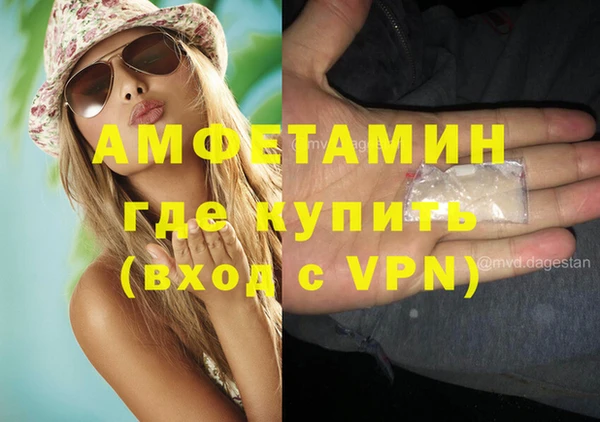 ГАЛЛЮЦИНОГЕННЫЕ ГРИБЫ Вяземский