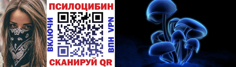 купить наркоту  shop как зайти  Галлюциногенные грибы Psilocybe  Вихоревка 