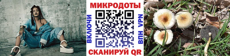 Галлюциногенные грибы MAGIC MUSHROOMS Вихоревка